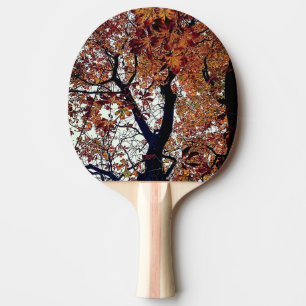 Raquette De Ping Pong Feuille d'or