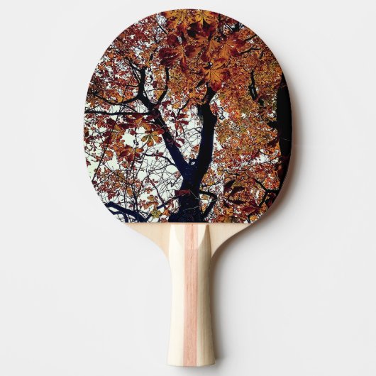 Raquette De Ping Pong Feuille d'or (Devant)