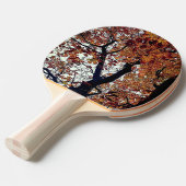 Raquette De Ping Pong Feuille d'or (Devant Angle)
