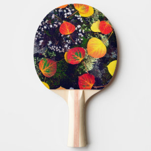 Raquette De Ping Pong Feuilles sur un rocher recouvert de lichen, Montag