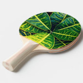 Raquette De Ping Pong Feuilles verts (Devant Angle)