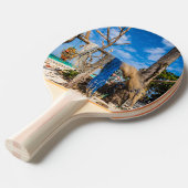 Raquette De Ping Pong Filets de pêche séchant sur la plage (Devant Angle)