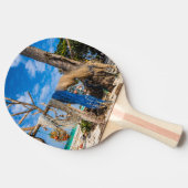 Raquette De Ping Pong Filets de pêche séchant sur la plage (Côté)