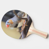 Raquette De Ping Pong Finch (Côté)