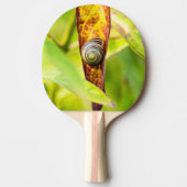 Raquette De Ping Pong fixation calme (Devant)