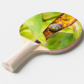 Raquette De Ping Pong fixation calme (Devant Angle)