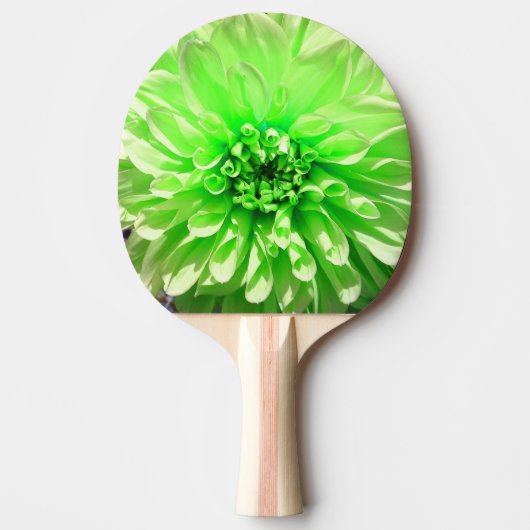 Raquette De Ping Pong Fleur Dahlia verte (Devant)