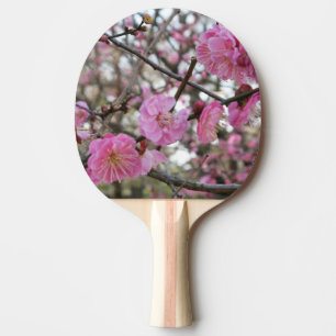 Raquette De Ping Pong Fleur de cerisier rose / Sakura / ク(桜)