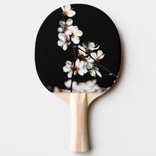 Raquette De Ping Pong Fleurs Sakura (Dos)