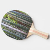 Raquette De Ping Pong Forêt géante japonaise de bambou, Sagano, Kyoto, J (Côté)