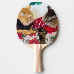 Raquette De Ping Pong Frères