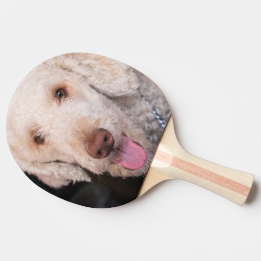 Raquette De Ping Pong Fuzzy (Côté)