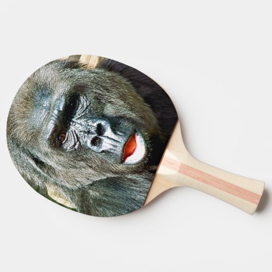 RAQUETTE DE PING PONG GORILLA FRAÎCHE (Côté)