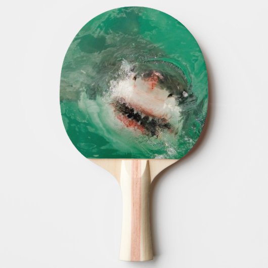Raquette De Ping Pong Grand blanc Shark1 (Devant)