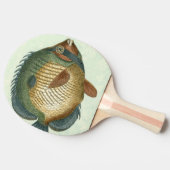 Raquette De Ping Pong Grand Poisson Coloré (Côté)