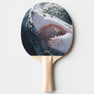 Raquette De Ping Pong Grand requin blanc en mer