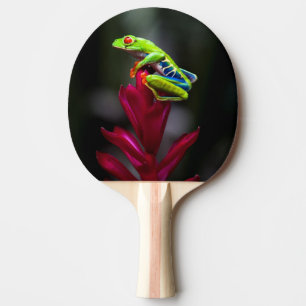 Raquette De Ping Pong Grenouille aux yeux rouges