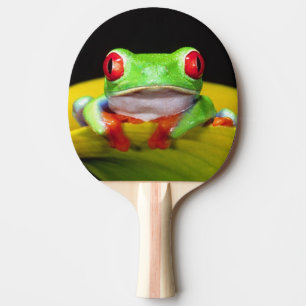Raquette De Ping Pong Grenouille aux yeux rouges, Agalychinis callidryas