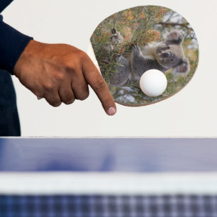 Raquette De Ping Pong Grevillea Koala Bear,