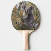 Raquette De Ping Pong Grevillea Koala Bear, (Devant)