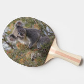 Raquette De Ping Pong Grevillea Koala Bear, (Côté)