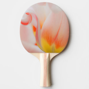 Raquette De Ping Pong Gros plan de tulipe 3