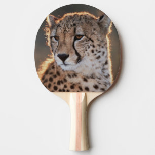 Raquette De Ping Pong Guépard regardant ailleurs