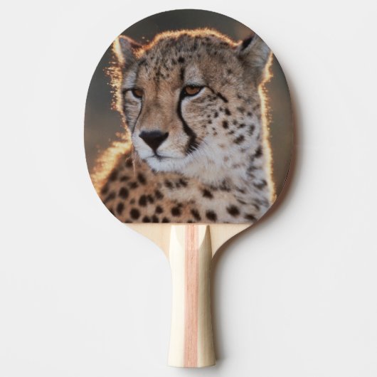 Raquette De Ping Pong Guépard regardant ailleurs (Devant)