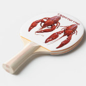 Raquette De Ping Pong Heure de l'écrevisse (Devant Angle)