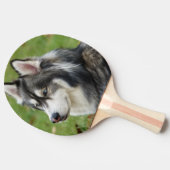 Raquette De Ping Pong Husky (Côté)