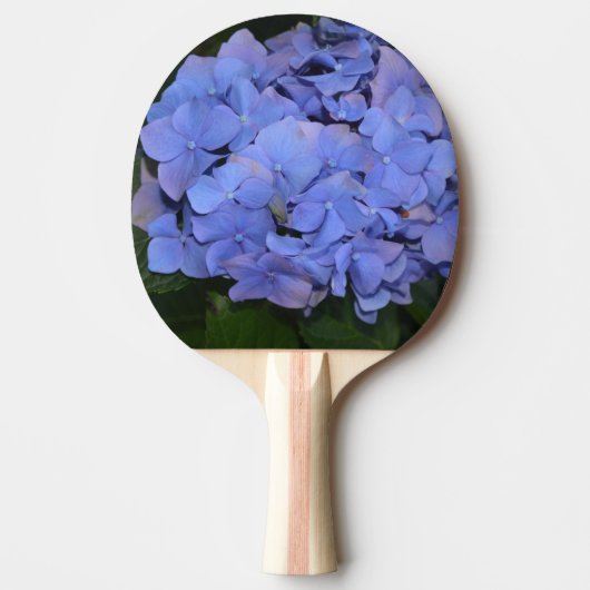 Raquette De Ping Pong Hydrangea macrophylla violette rustique (Devant)