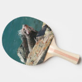 Raquette De Ping Pong Iguana à St Thomas (Côté)