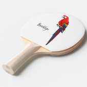 Raquette De Ping Pong Illustration du perroquet de macaw Scarlet (Devant Angle)