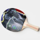 Raquette De Ping Pong Inde, Rajasthan, Jaipur. Le fort d'Amber. (Côté)