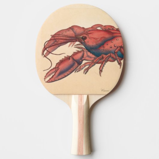 Raquette De Ping Pong James Sowerby Homard serbé (Devant)