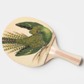 Raquette De Ping Pong James Sowerby Parrot terrestre, Psittacus terrestr (Côté)