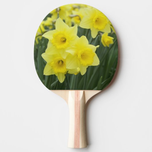 Raquette De Ping Pong Jonquilles RF) (Devant)