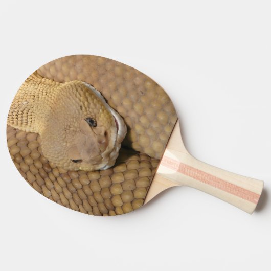 Raquette De Ping Pong Joyeux Anniversaire Serpent Ping Pong Paddle (Côté)