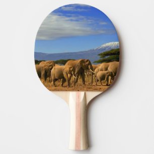 Raquette De Ping Pong Kilimanjaro et éléphants