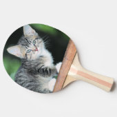 Raquette De Ping Pong Kitten (Côté)