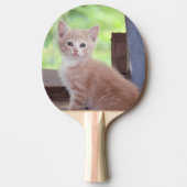 Raquette De Ping Pong Kitten (Devant)