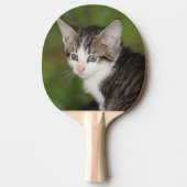 Raquette De Ping Pong Kitten (Devant)