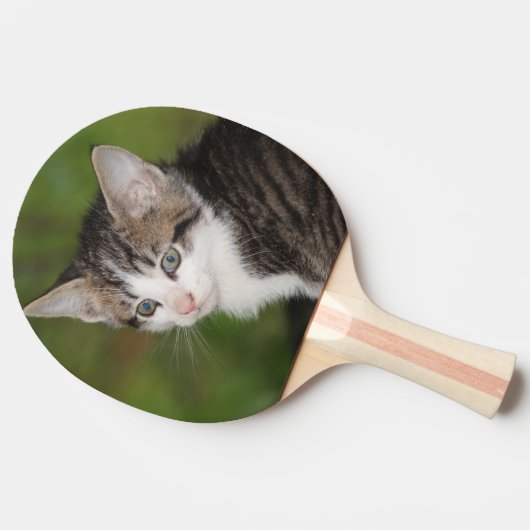 Raquette De Ping Pong Kitten (Côté)