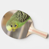 Raquette De Ping Pong Kiwi (Côté)