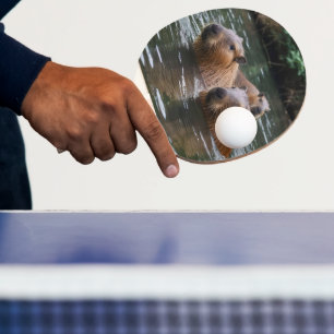 Raquette De Ping Pong La Nage Des Capybaras Dans La Rivière,
