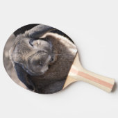 Raquette De Ping Pong Lapin à oreilles de Lop (Côté)