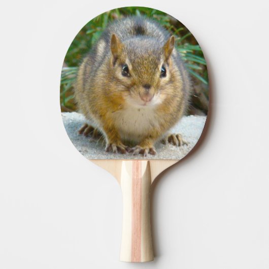 Raquette De Ping Pong Le Cute Chipmunk A L'Oeil Sur Vous (Devant)