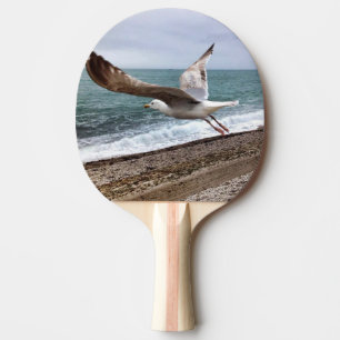 Raquette De Ping Pong Le goëland d'Etretat français
