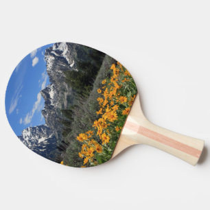 Raquette De Ping Pong Le printemps dans le parc national de Grand Teton