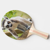 Raquette De Ping Pong Lemur de bébé (Côté)
